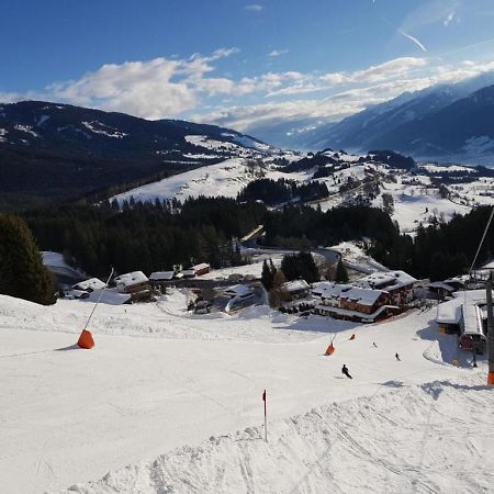 Panorama Chalet Mittersill Exteriér fotografie